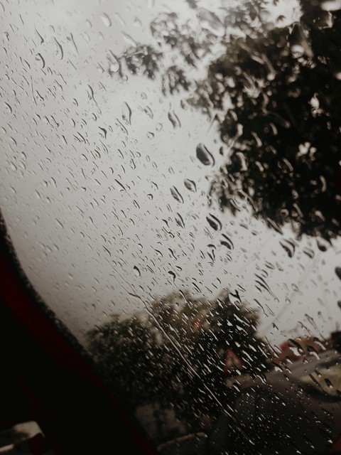 rain