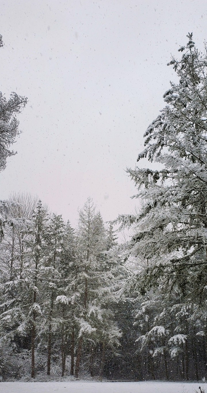 winter-19