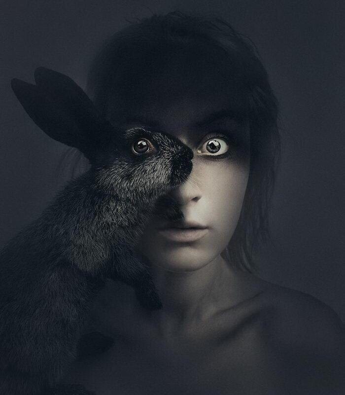 rabbit