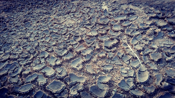 Dry land of Mandaragiri