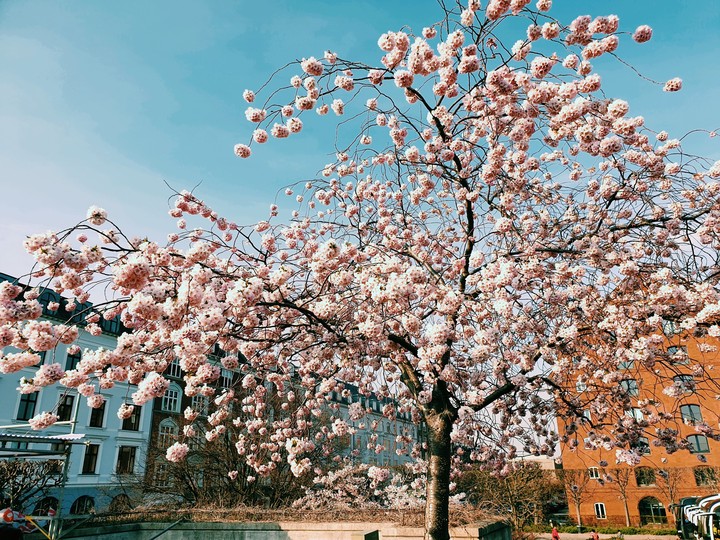 Spring has sprung!