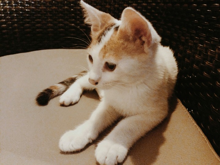 Her name is Kinia