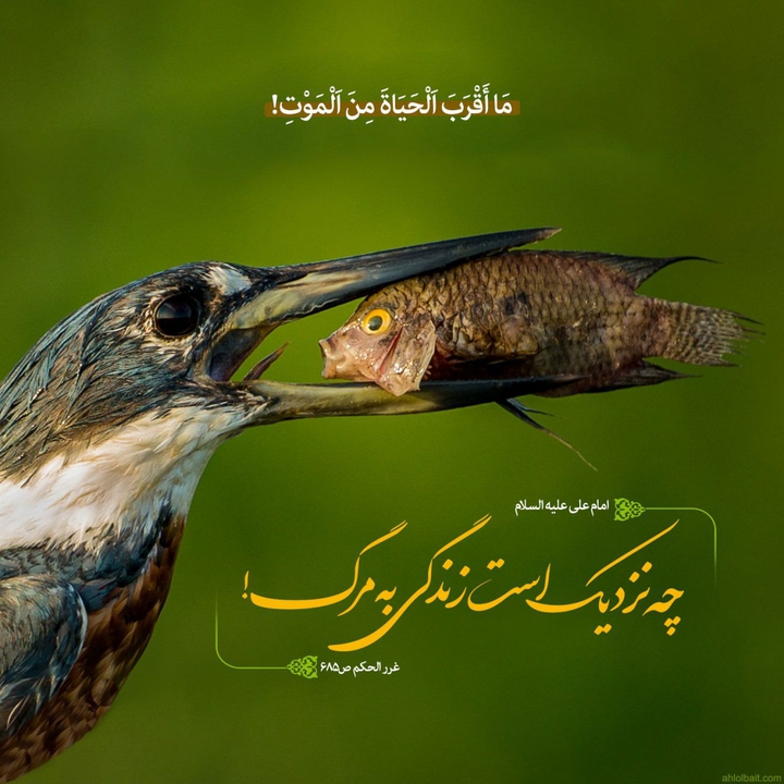 زندگی و مرگ