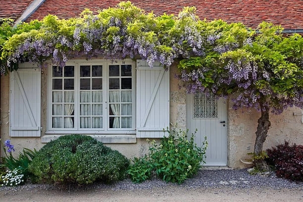 wisteria cottage
