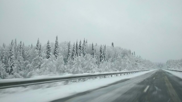Winter Road