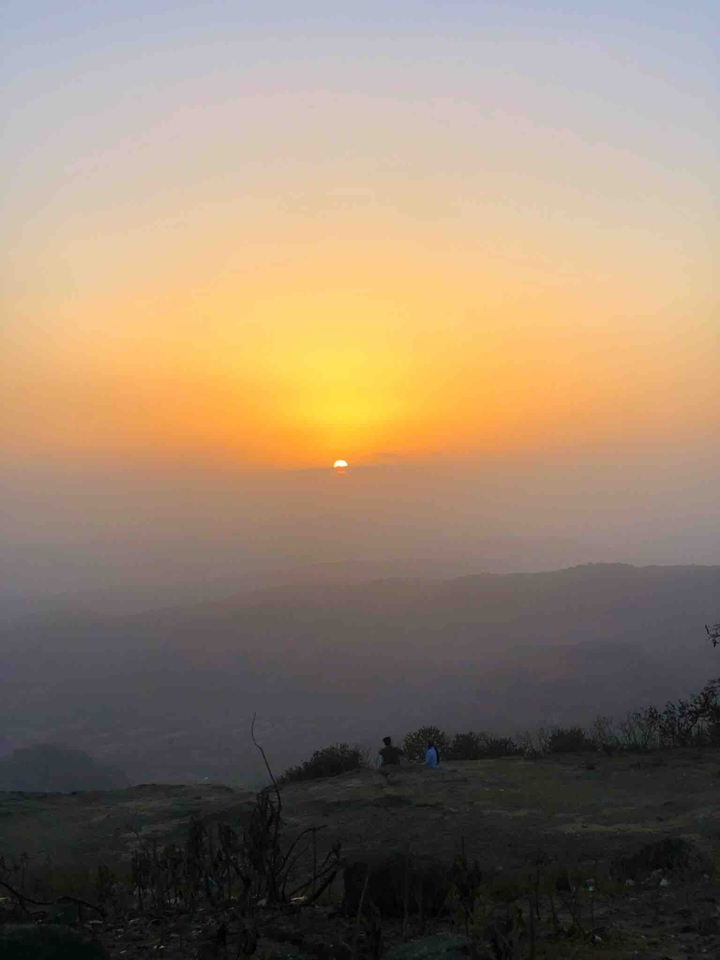 sun shot