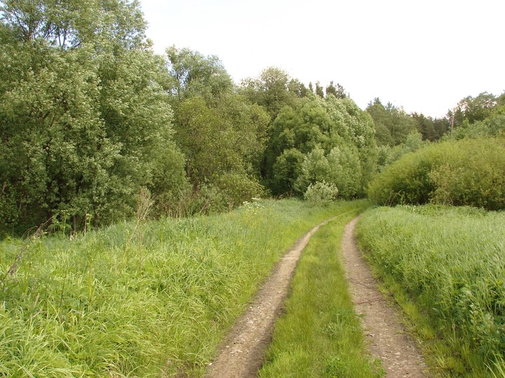 Дорога