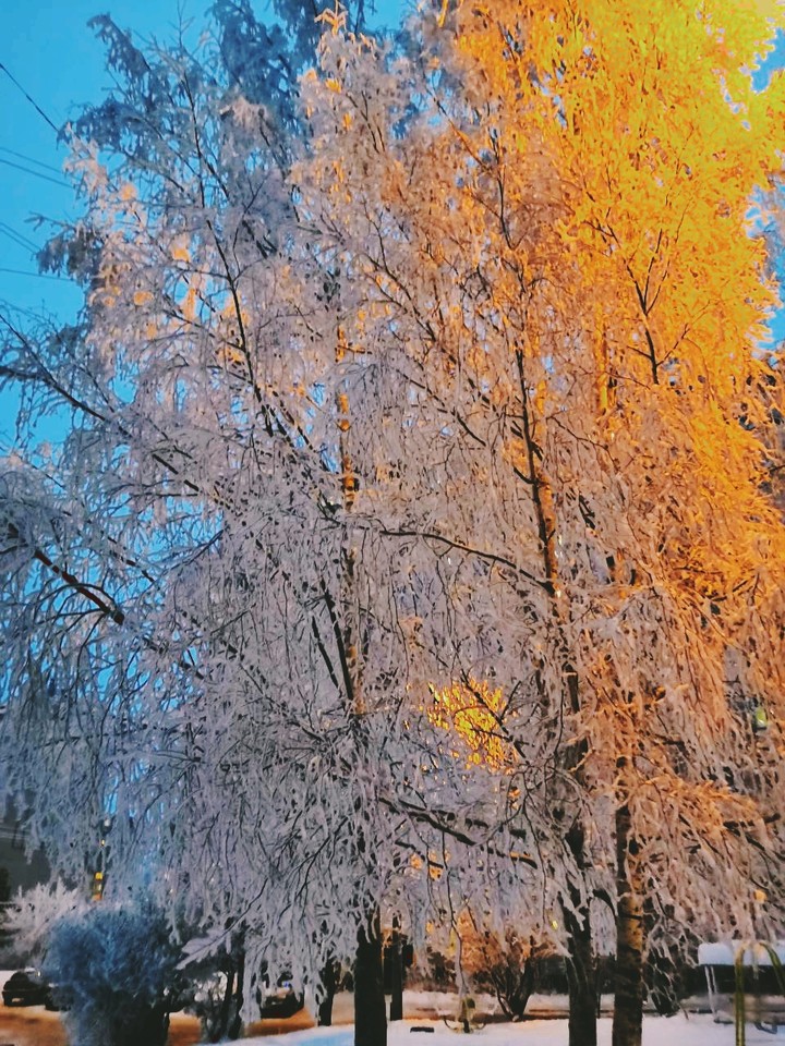 зима#мороз
