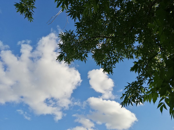 облака, clouds