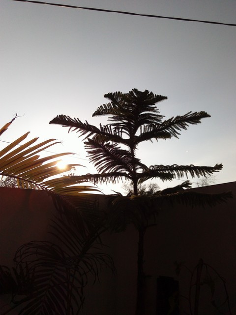 Blend of nature
