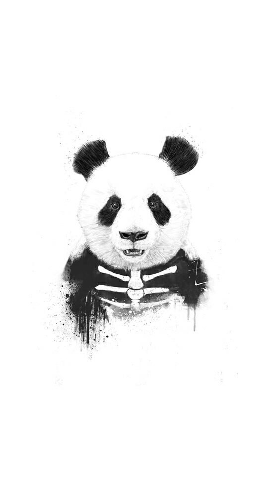 bear