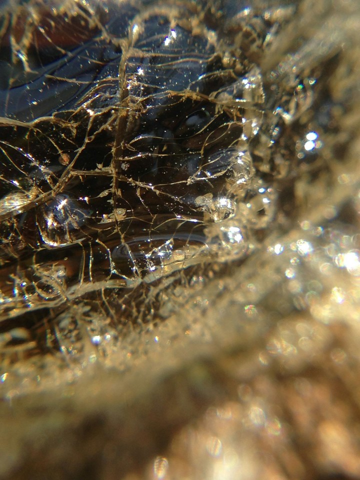 A shine  of Crystal