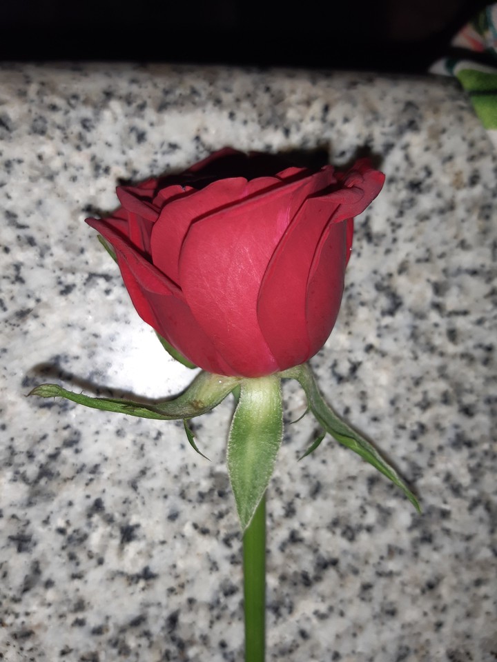 The symbol of Love