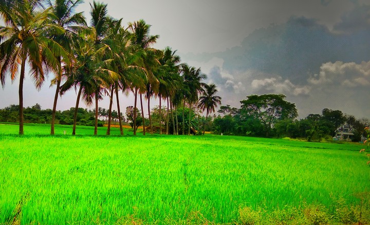 village.. place