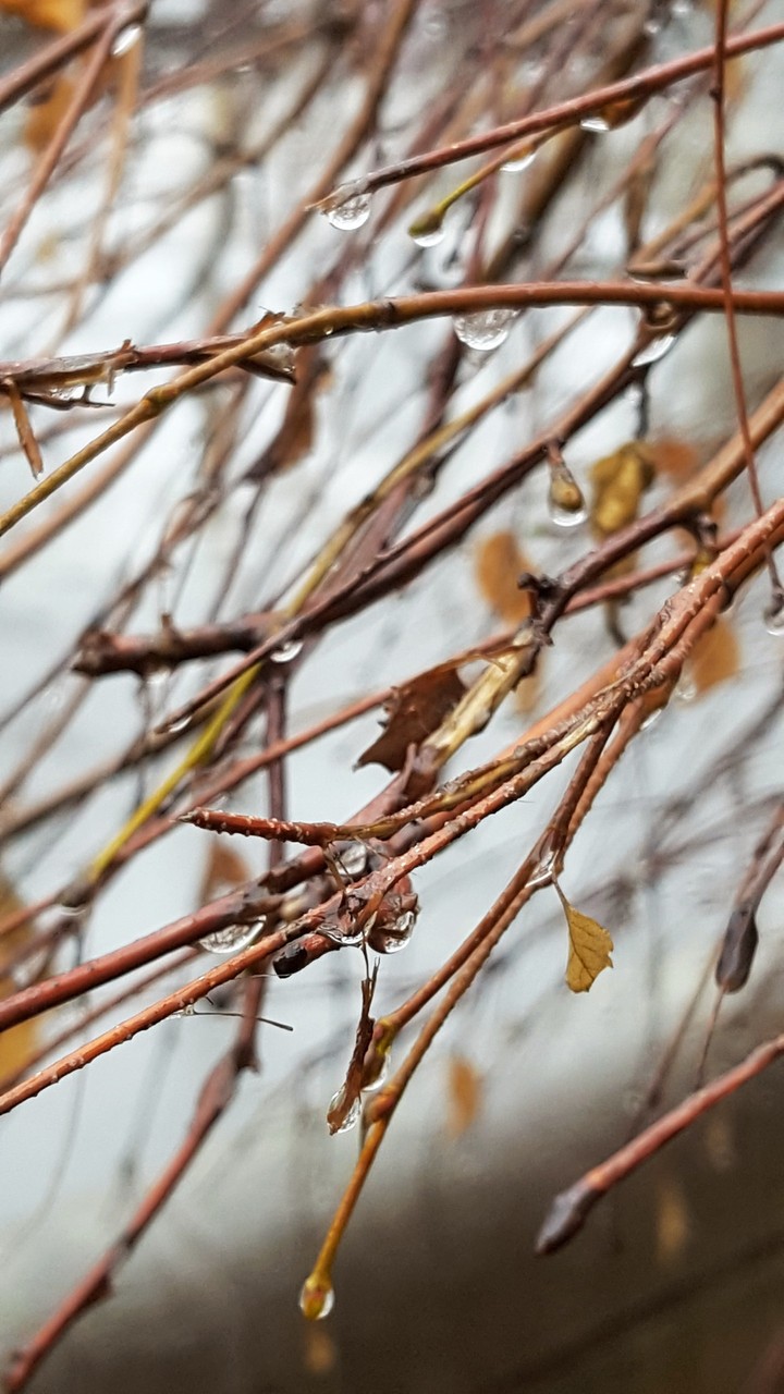 rainny day
