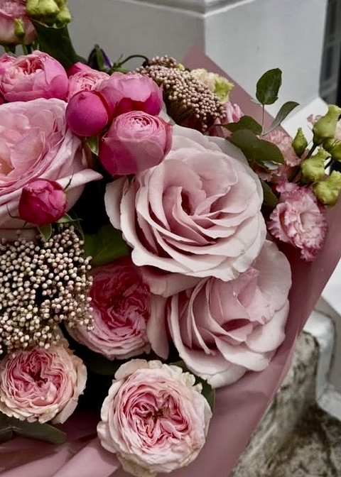 flower, pink壁纸