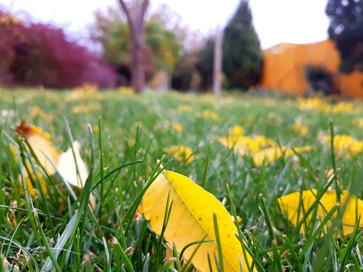 autumn is coming...