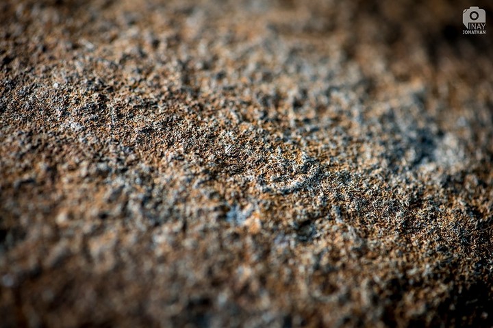 Nature Patterns