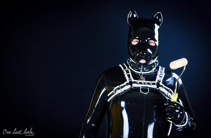 Rubber Petplayer