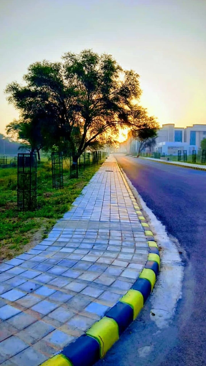 central university