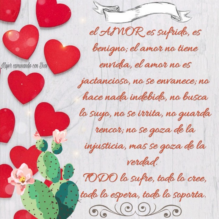 Amor