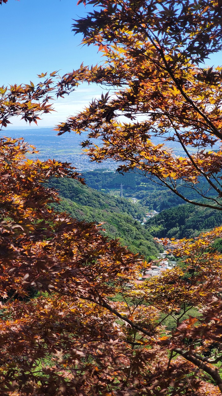 Japanese autumn