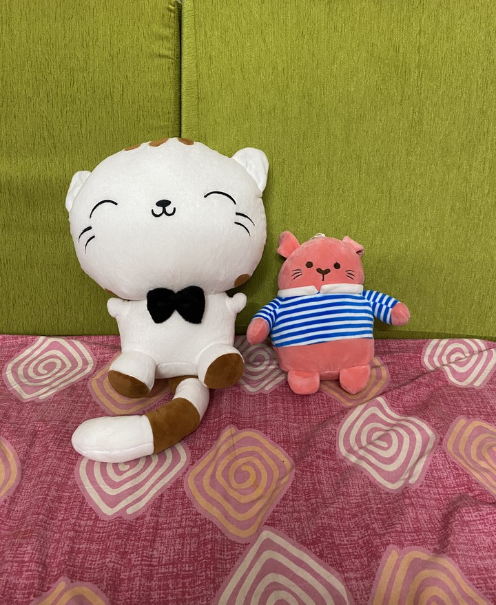 MY COLLECTION OF DOLL