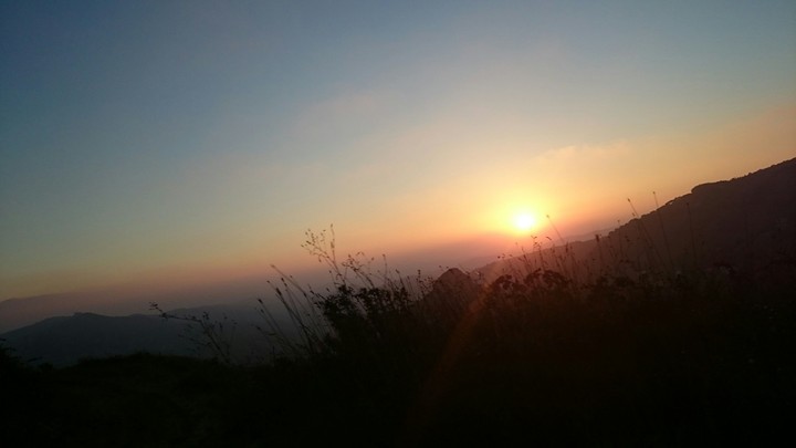 Syria