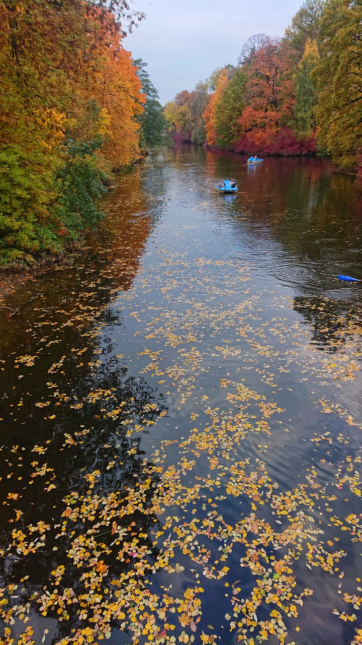 осень в парке