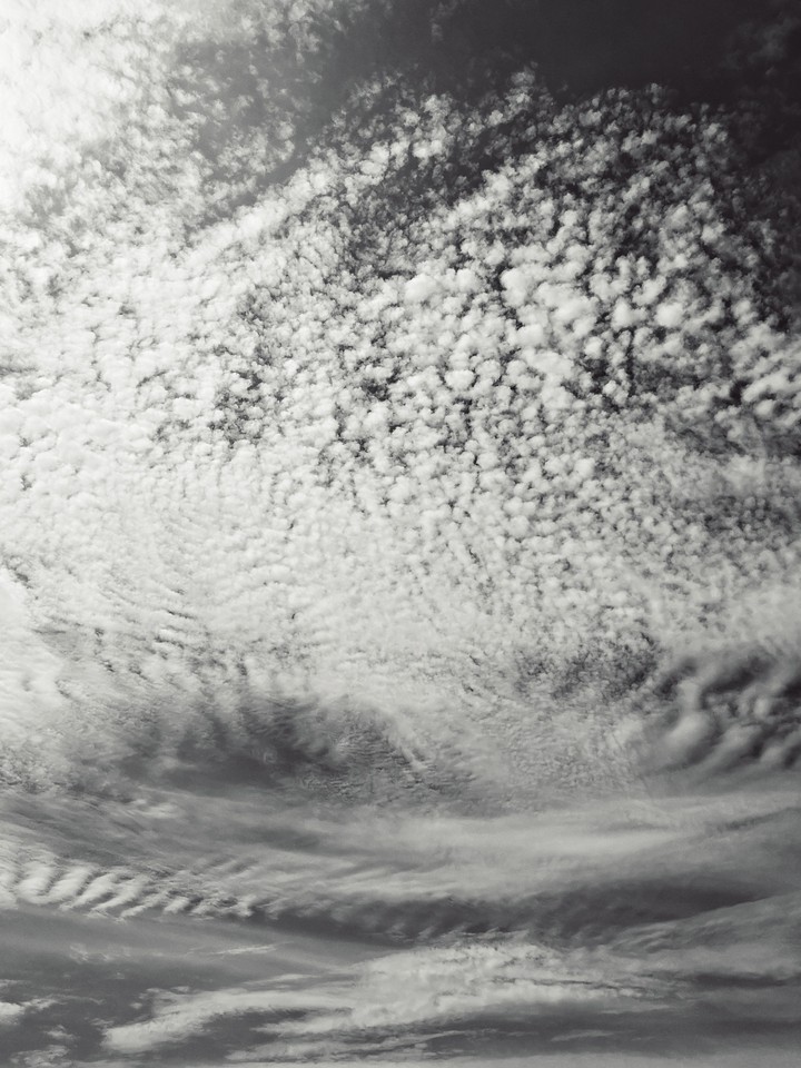 Black - and - White sky