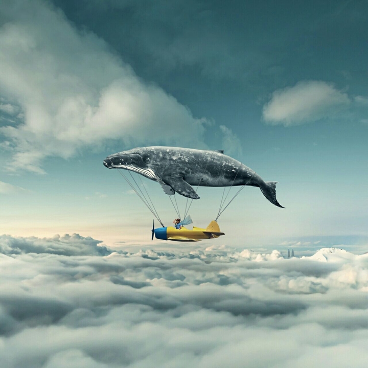 Imagination...Unlimited!