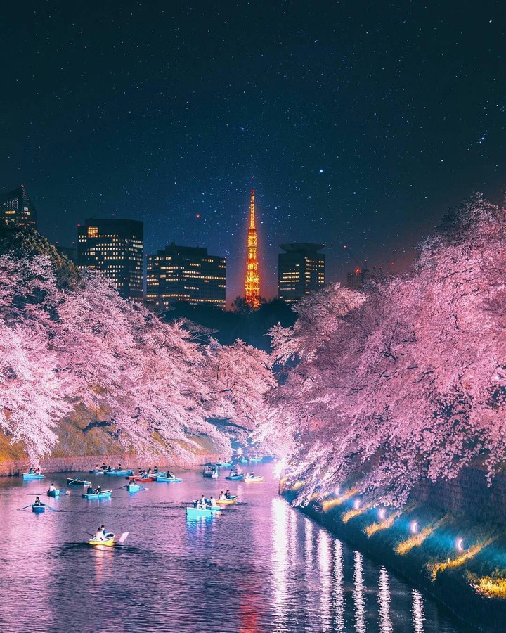 tokyo