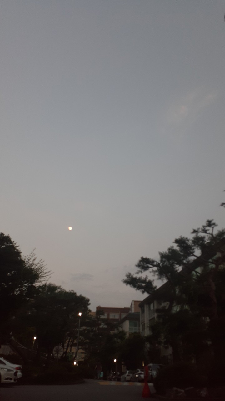 달이 5개. five moons