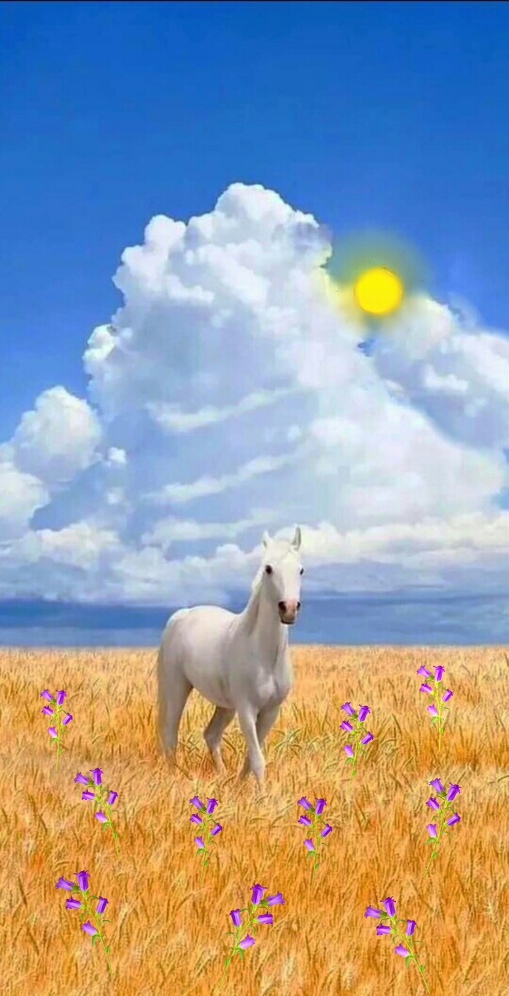 .
