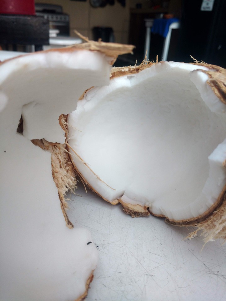 El coco