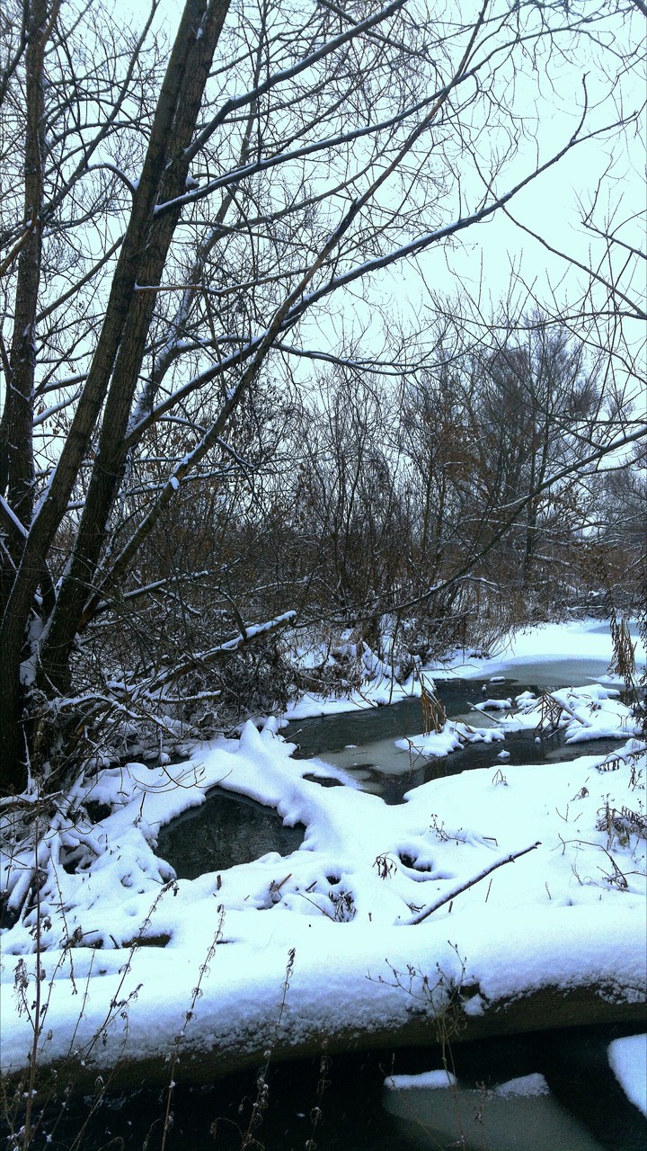 "Beaver house"