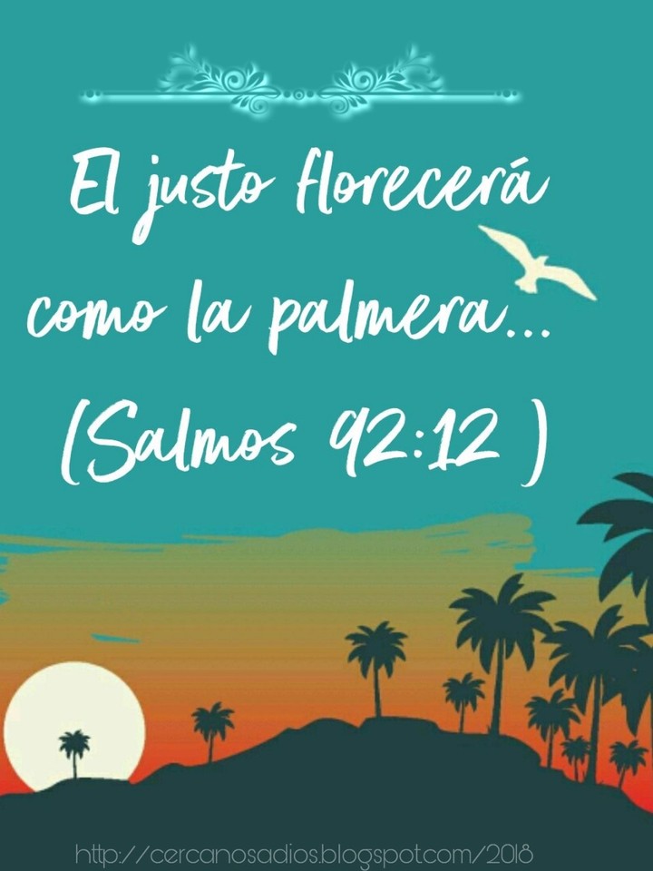 Versículo Bíblico