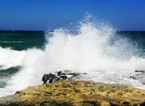 Wave