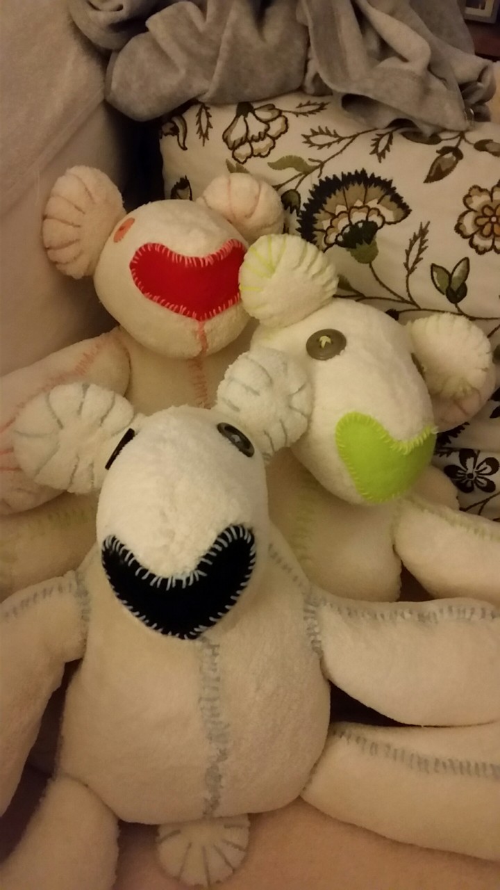 teddybär