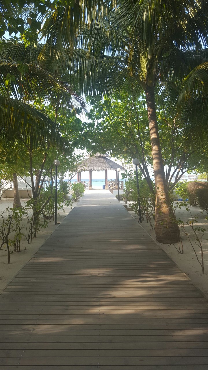 Maldive