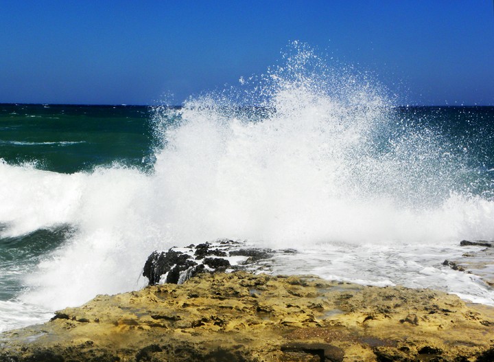 Wave