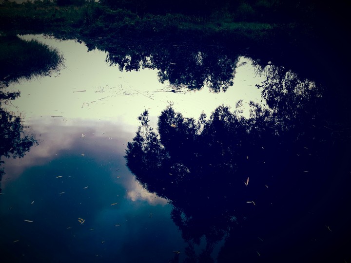 #lake