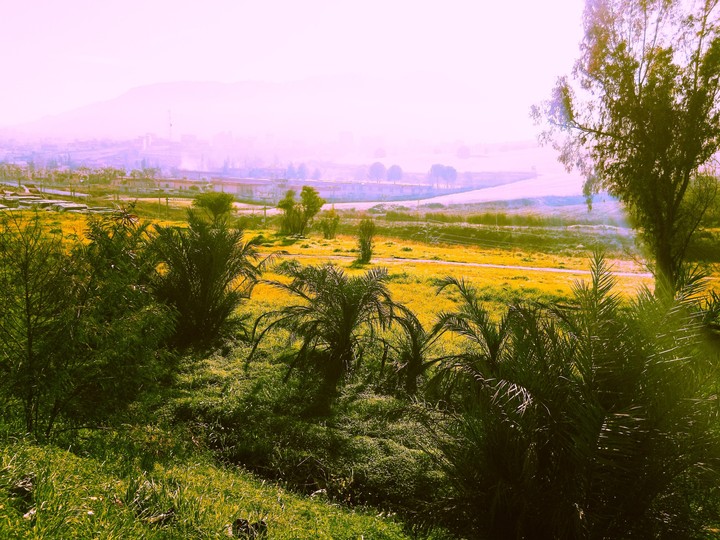 nature