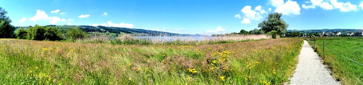 nature