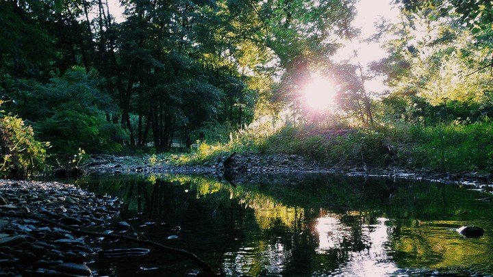 nature