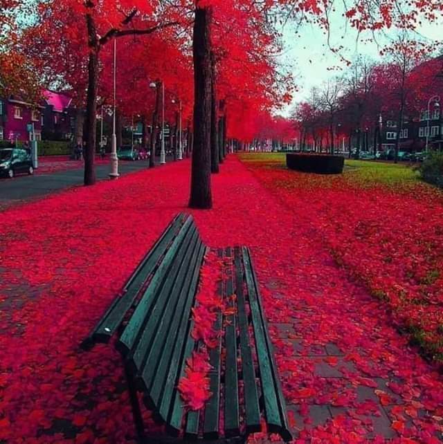 red