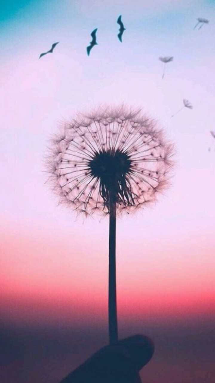 sky_