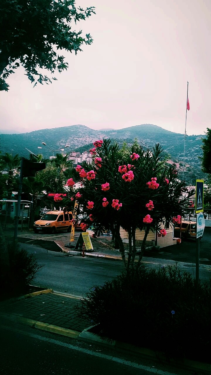 Turkey
