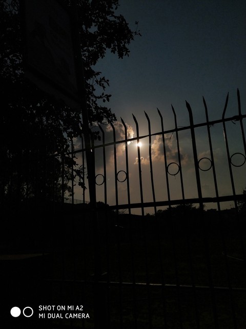 Sunset views