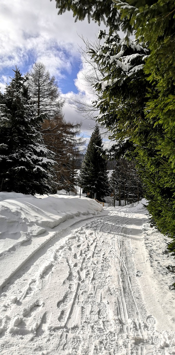 Winter way, footpath